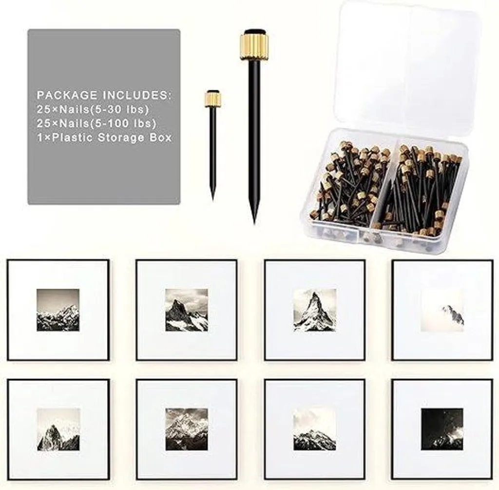 Fixation Murale Solide : Lot de 50 Chevilles et Vis pour Murs Fragiles