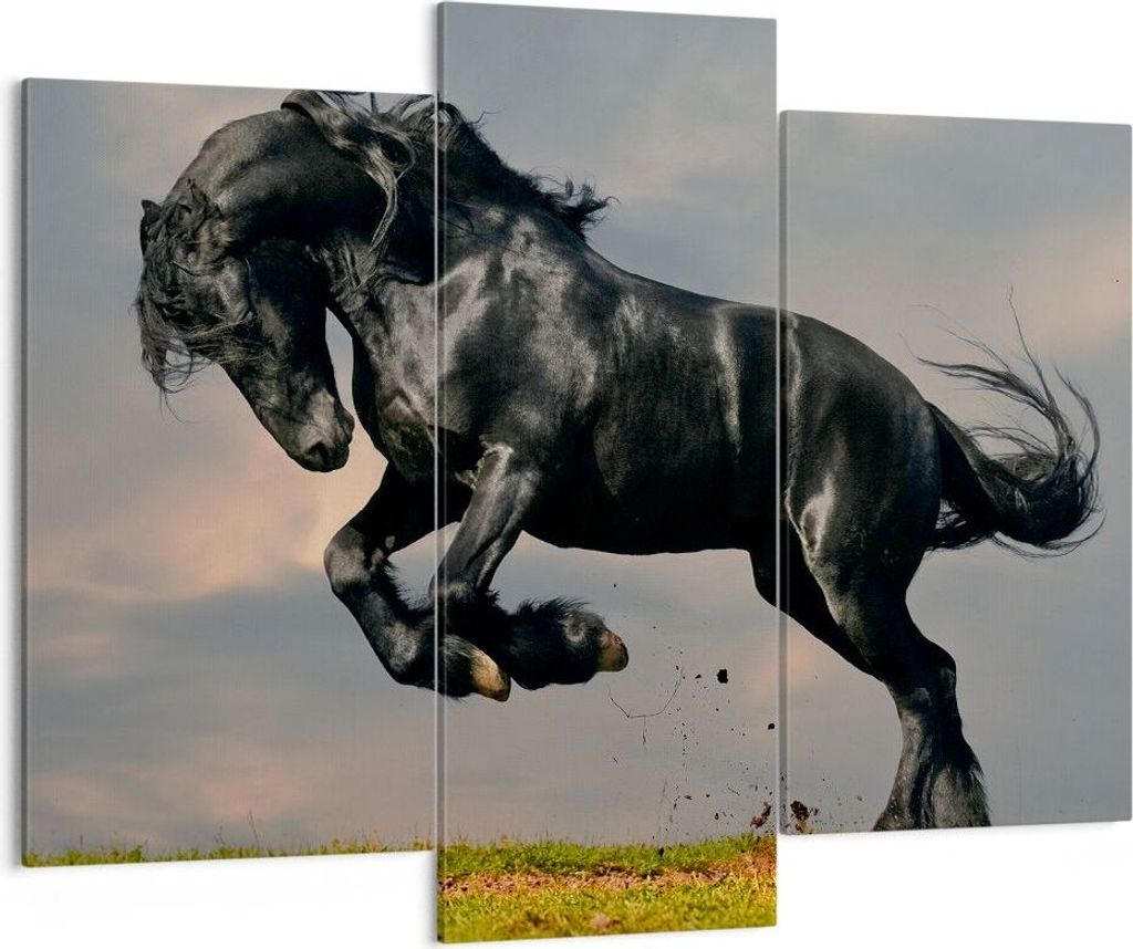 Bild auf Leinwand - Leinwandbild - Wolke Pferd Wiese Natur - 130x100cm - Wand Bild - Wanddeko - Leinwanddruck - Bilder - Kunstdruck - Wanddekoratio...