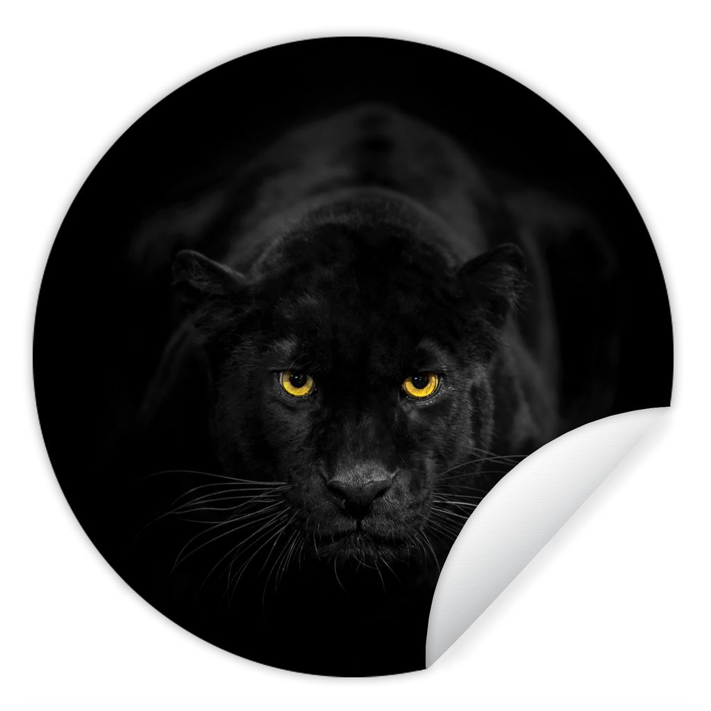 MuchoWow Runde Wandtattoo - Wandsticker Tapete Aufkleber Panther - Tiere - Schwarz - Augen Ø 30 cm Selbstklebend und Repositionierbar - Wandaufk...