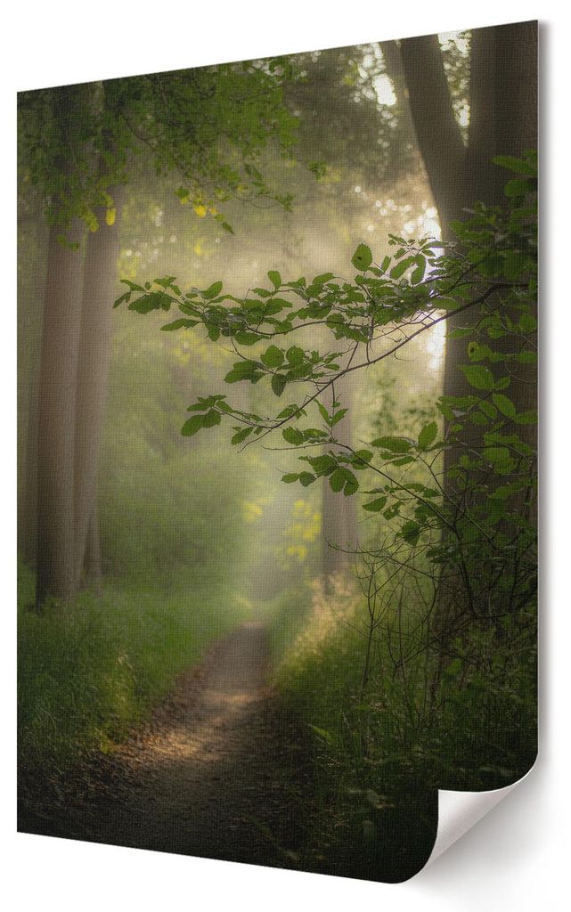 Waldfrieden- Kunstdruck A3 (29x42 cm) - Klassisch, rustikal- Wandbild für Wohnzimmer Schlafzimmer & Flur, Modernes Poster Wanddeko, Ungerahmt