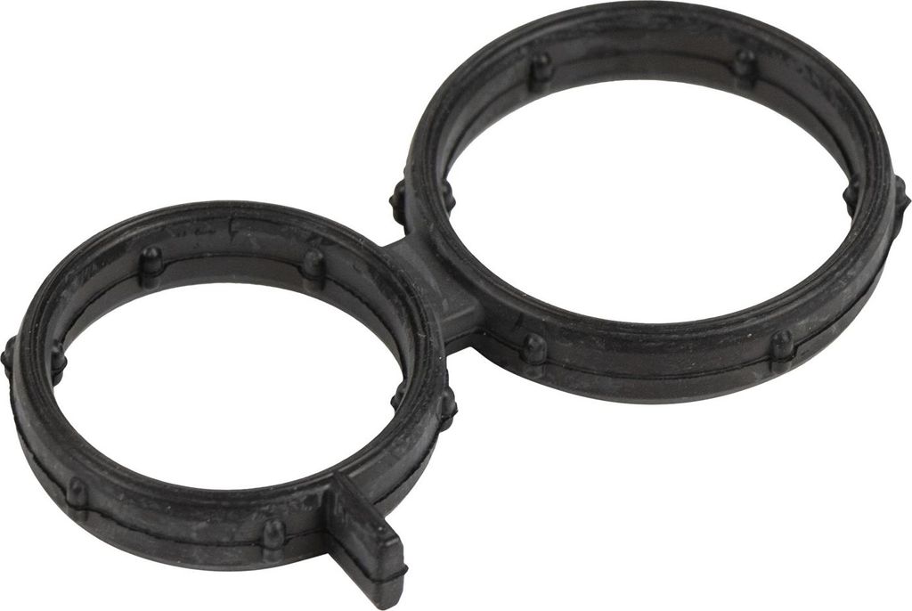 Dichtung AGR-Ventil 55252555