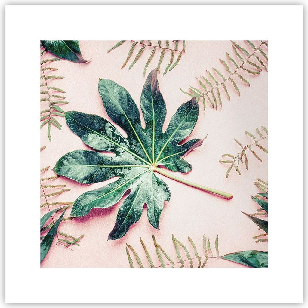 Poster - Poster ohne Rahmen - Blatt Tropisch Palme - 30x30 cm - Wand Bild - Wanddeko - Wandbilder - Kunstposter - Wandposter - Bilder - Kunstdruck ...