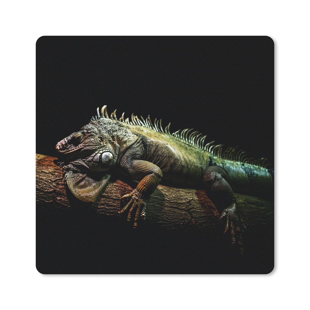 MuchoWow® Mauspad Mousepad Tier - Zweig - Schwarz 30x30 cm Produktbild 