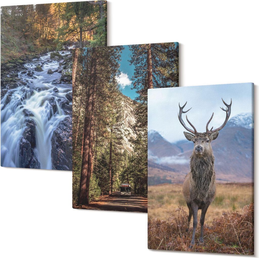 Wandbild – Leinwandbild – Leinwandbilder – Polycanvas – Kunstdruck – Modern – Panorama – Mehrteilig – 3-Teilig Set – Hochwertig ...
