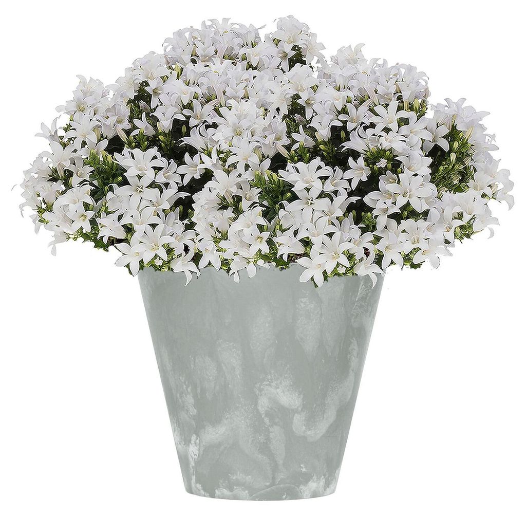 Bloempot "Tubus", effect van betonlook, grijs, 40x37 cm Productafbeelding 