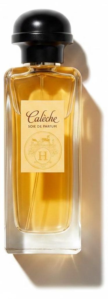 Hermès Hermes Paris Caleche Soie De Parfum 100ml Spray Produktbild 