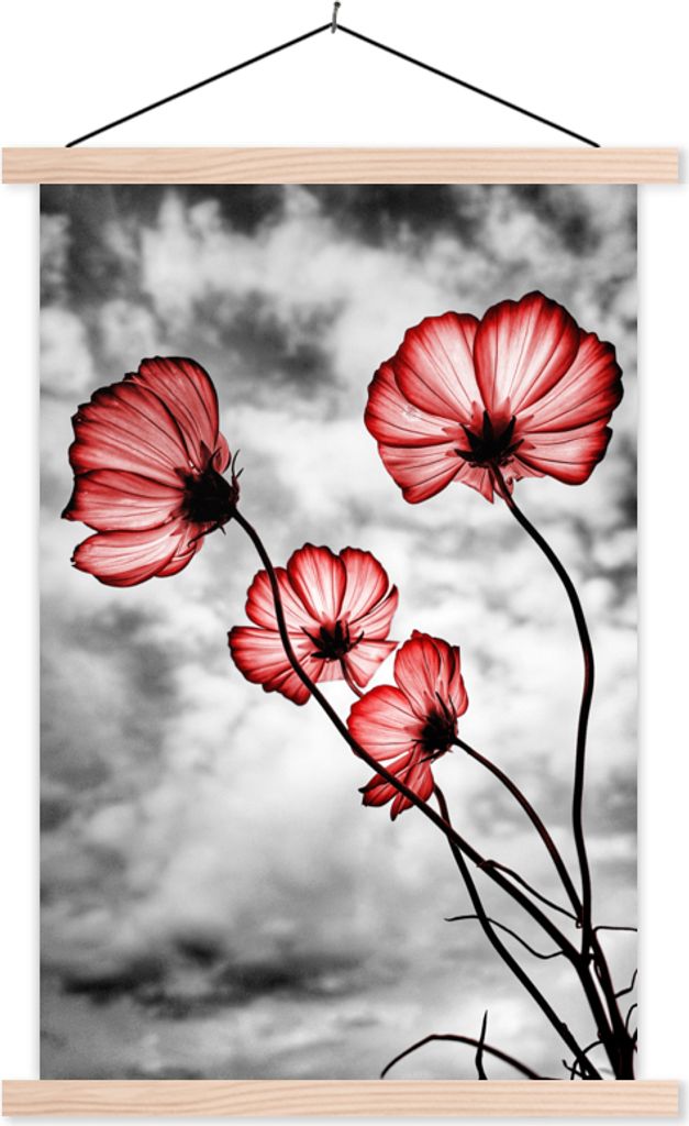 MuchoWow Textilposter Blumen - Schwarz - Weiß - Rot 120x180 cm mit holzfarbenen Rahmen - Textil-Plakat