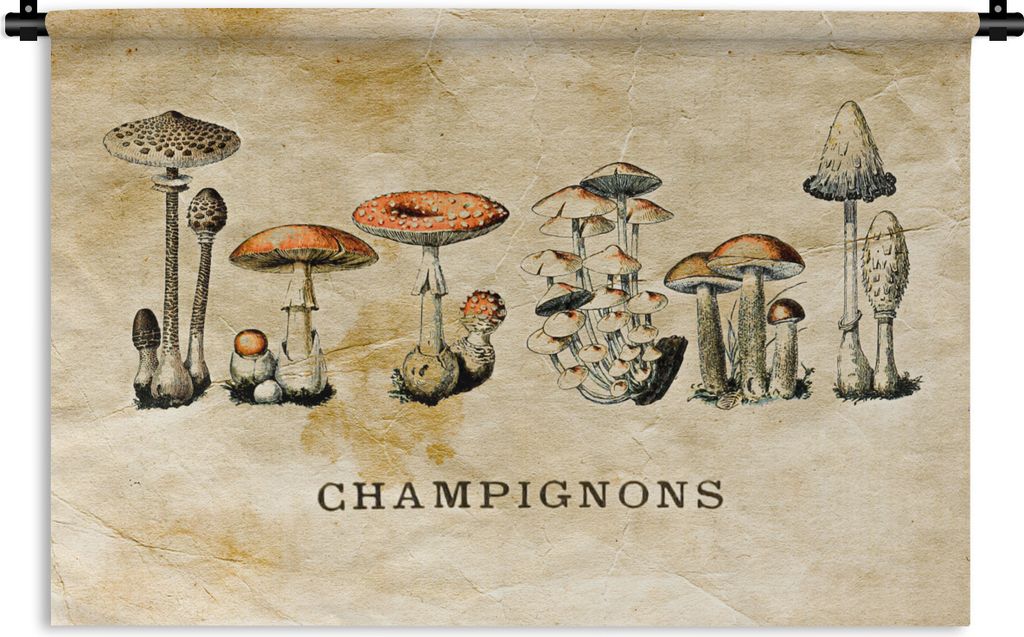 MuchoWow Wandteppich Wandbehang Pilz - Herbst - Vintage 60x40 cm Tapisserie Dekoration Wandtuch - Wanddekorationen