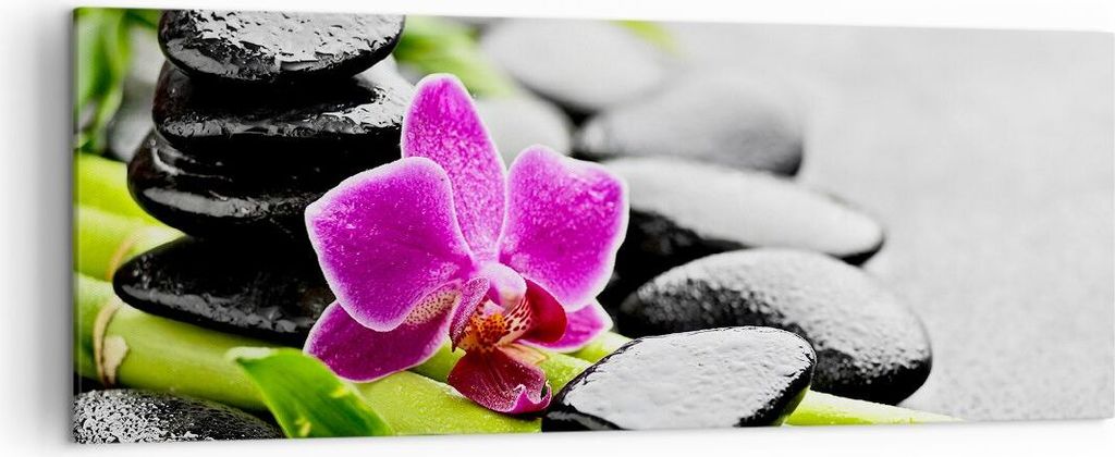 Bild auf Leinwand - Leinwandbild - Pflanze Steine Bambus Spa - 140x50cm - Wand Bild - Wanddeko - Leinwanddruck - Bilder - Kunstdruck - Wanddekorati...