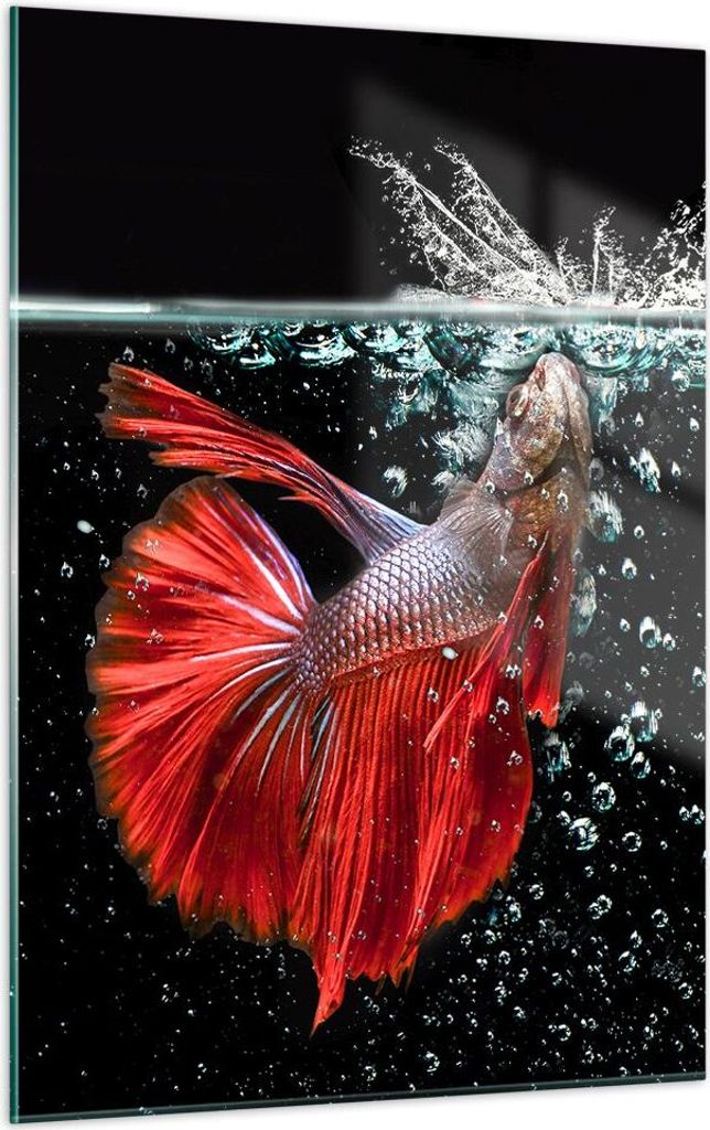 Bilder auf glas - Einteilig - Fisch Wasser Natur - 50x70cm - Glasbilder - Wandbilder - Bilder - zum Aufhängen bereit - Wanddekoration aus Glas - G...