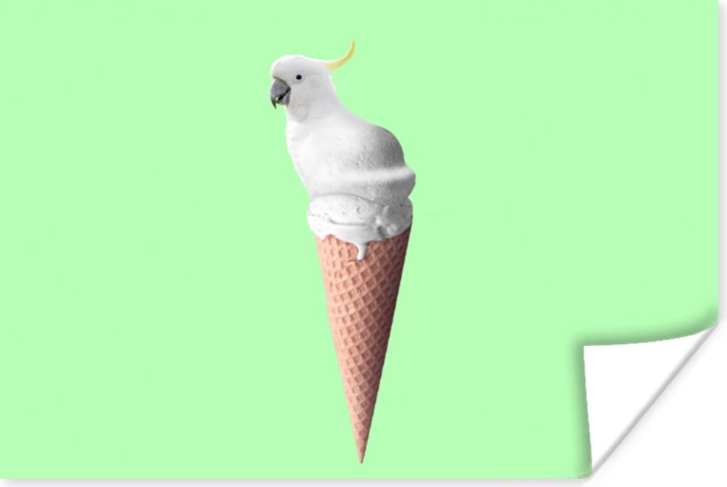 MuchoWow Poster Papagei - Eistüten - Eiscreme - Weiß - Grün 30x20 cm - Plakate - Print