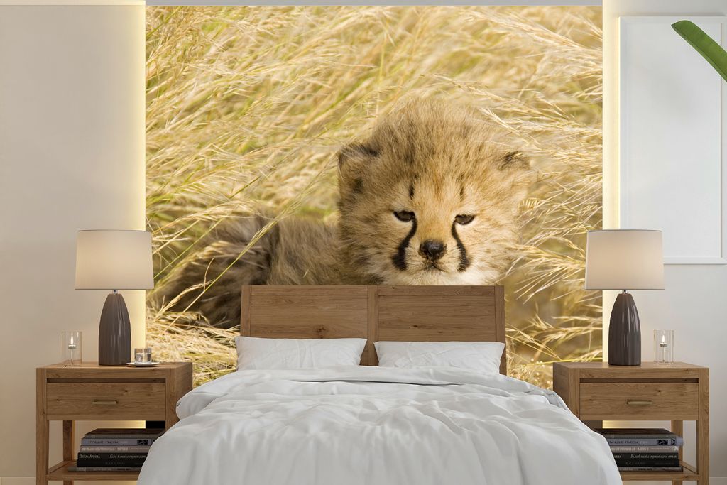 MuchoWow Fototapete für Wohnzimmer oder Schlafzimmer Wandtapete Vinyl Motivtapete Gepard - Jung - Gras - 300x300 cm - Wanddekoration