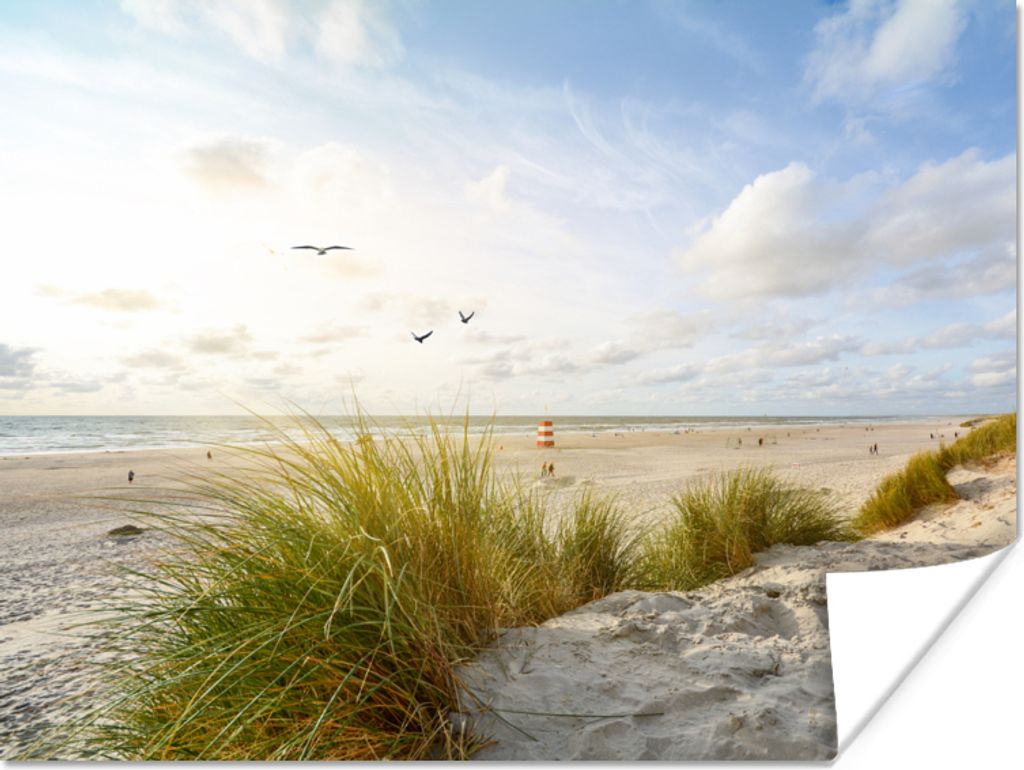 MuchoWow Poster Strand - Meer - Vögel 40x30 cm - Plakate für die Wände - Poster Wohnzimmer