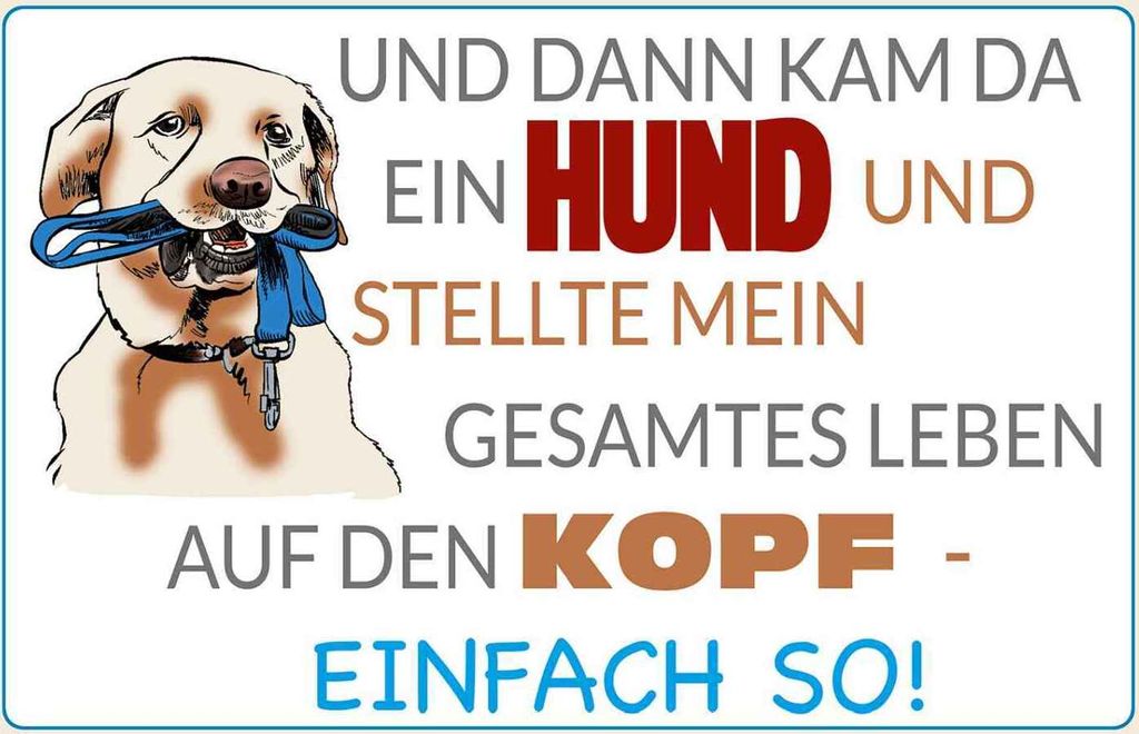vianmo Holzschild 20x30 cm und dann kam da ein Hund Tier Haustier