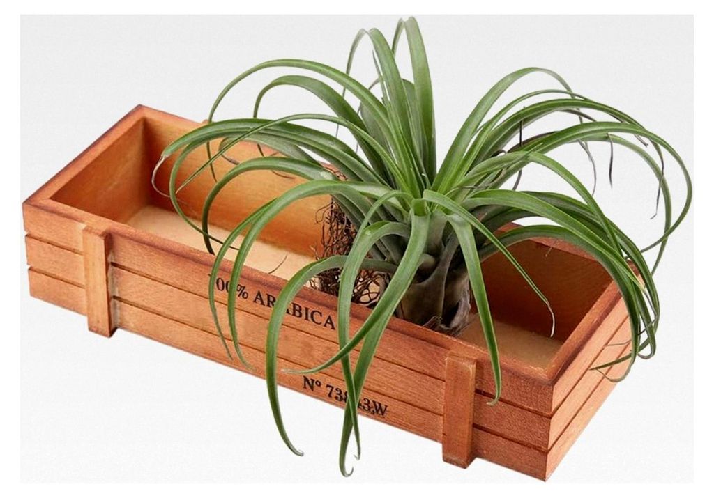 Holz Blumentopf Box für Pflanzen im Retro-Stil, rechteckig, für den Innen- und Außenbereich