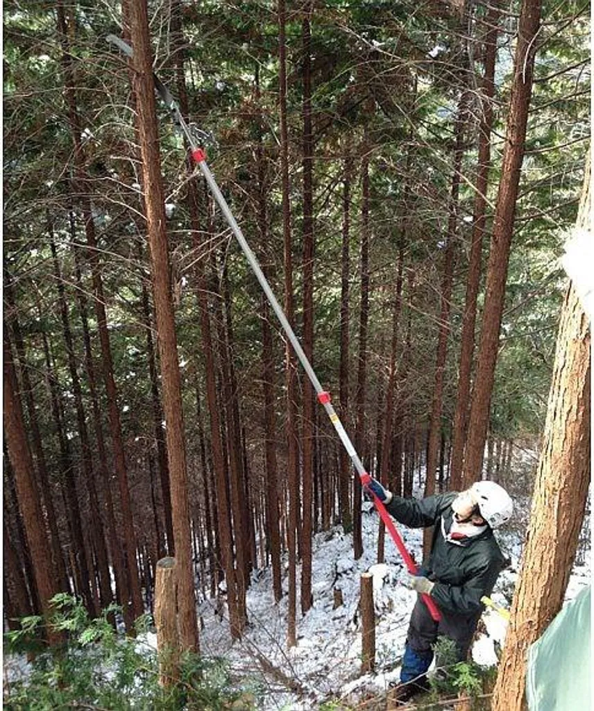 Élagueur à perche télescopique SILKY Forester 4500 avec Lame 380 mm