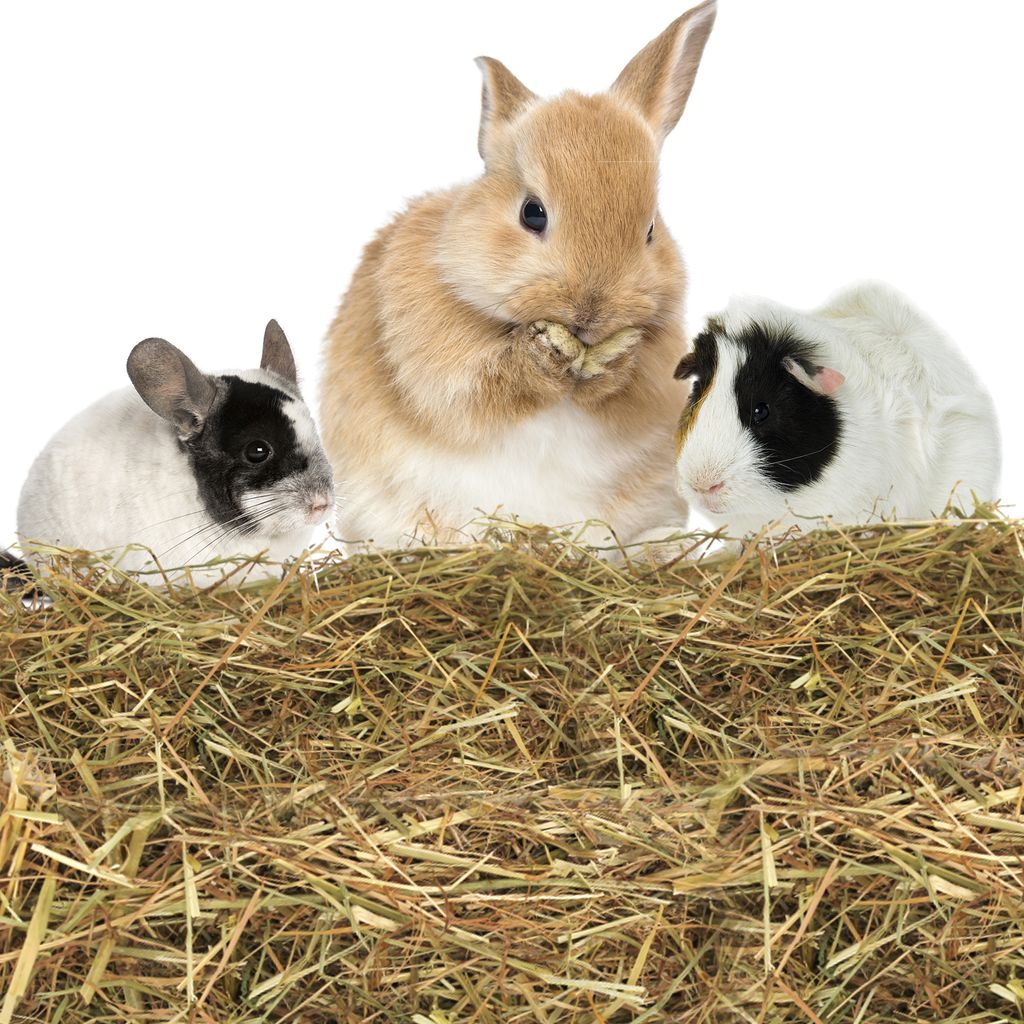 Nobleza - (2.5kg) Kaninchen Wiesenhe, Hauptfutter für  Produktbild 