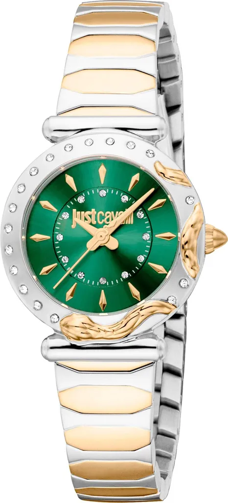 Montre Just Cavalli JC1L363M0075 en Acier Inoxydable et Finition de Luxe