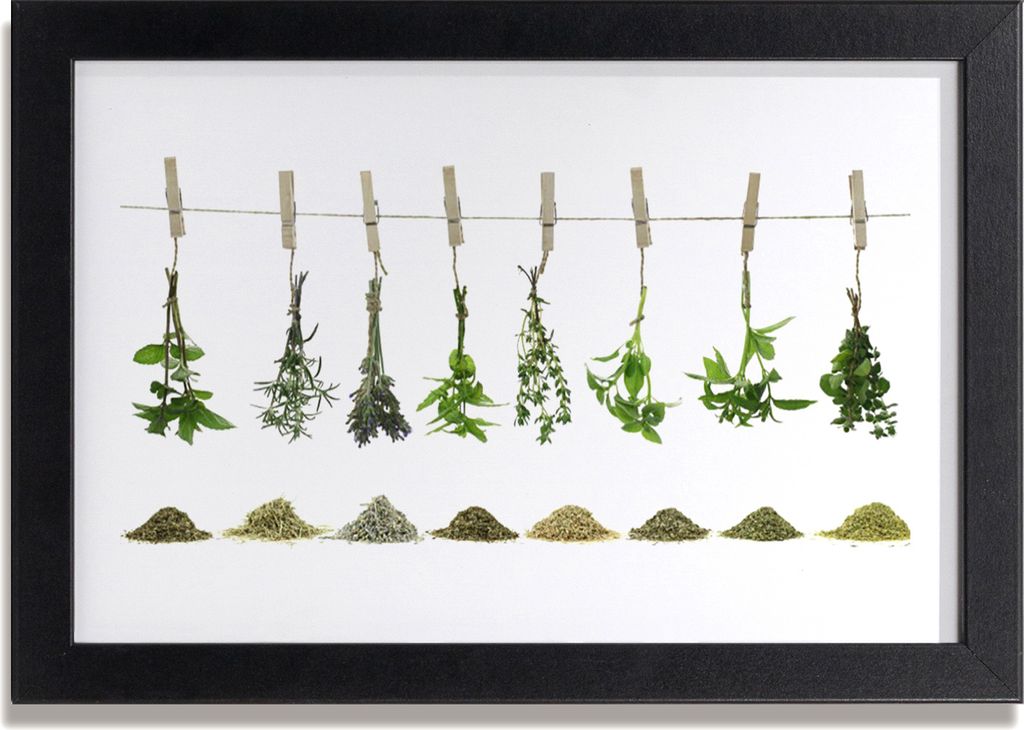 Bild 30x20 MDF-Rahmen Wandkunst Blumen Pflanzen Natur