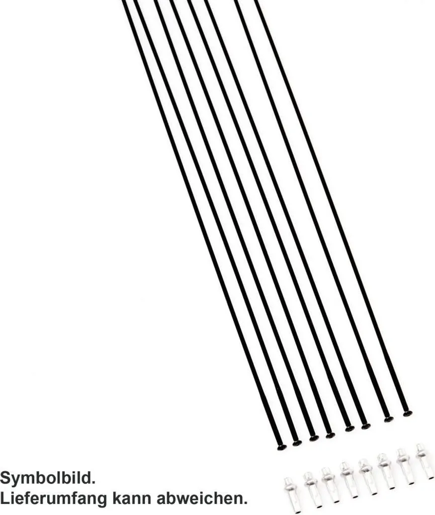 Rayons noirs DT Swiss XRC 1200 Spline 29 - Haute résistance et légèreté