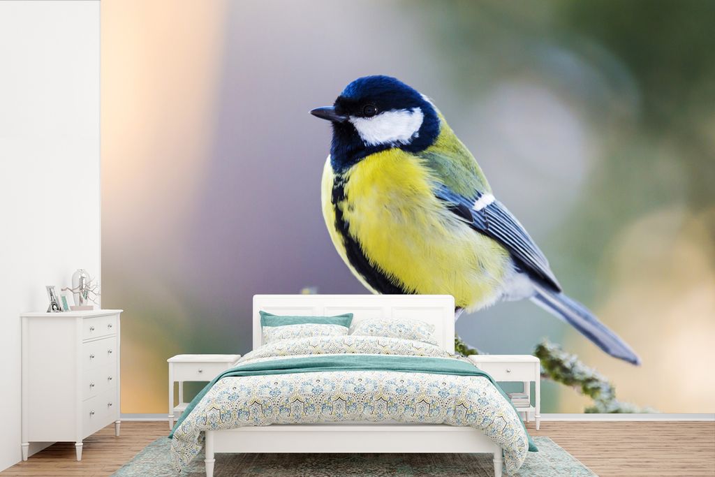 MuchoWow Fototapete für Wohnzimmer oder Schlafzimmer Wandtapete Vinyl Motivtapete Kohlmeise - Vogel - Zweig - 360x240 cm - Vinyl-Tapete