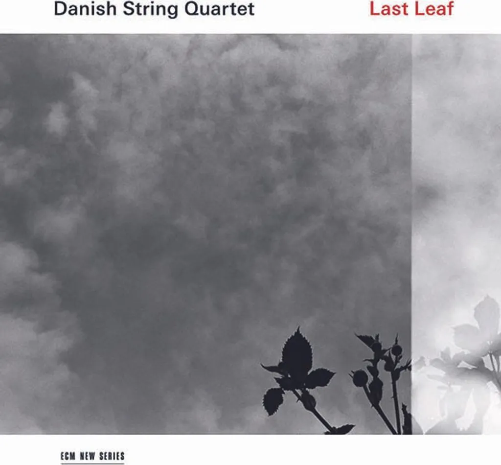 Dernière feuille par Quatuor à cordes danois - Sonorités Nordiques Pure
