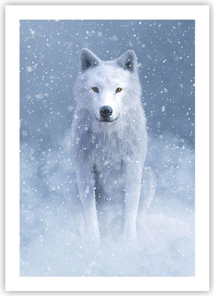 Poster - Poster ohne Rahmen - Weiß Wolf Schnee - 50x70 cm - Wand Bild - Wanddeko - Wandbilder - Kunstposter - Wandposter - Bilder - Kunstdruck - W...