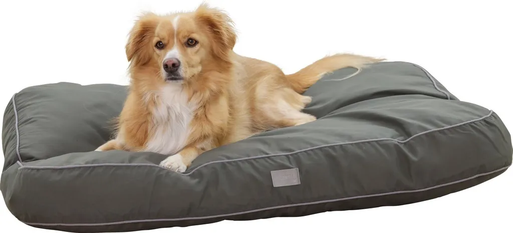 Matelas pour grand chien 100x70 cm Kerbl Jerome idéal pour sol carrelé