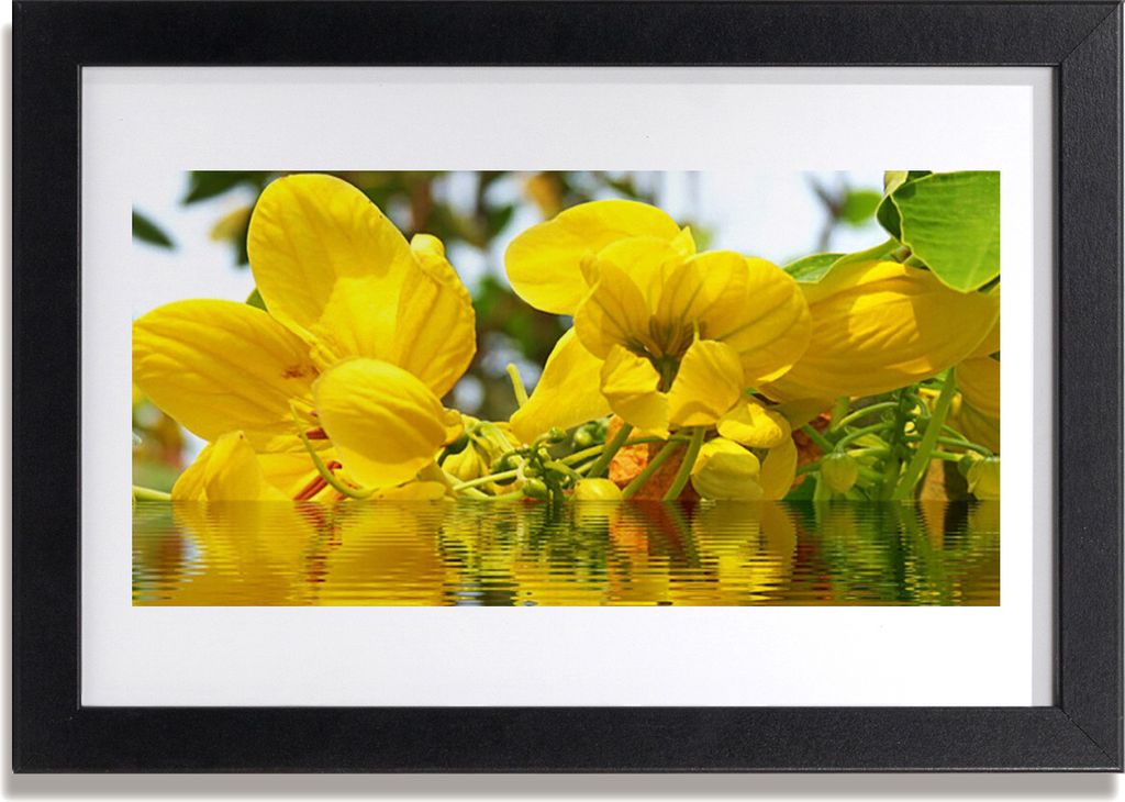 Bild 30x20 MDF-Rahmen Wandkunst Blumen Pflanzen Natur