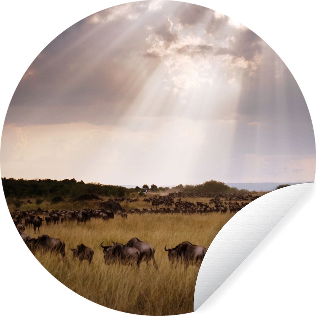 MuchoWow Runde Wandtattoo - Wandsticker Tapete Aufkleber Sonnenstrahlen auf Gewitterwolken im Masai Mara National Park in Kenia Ø 80 cm Selbstkl...