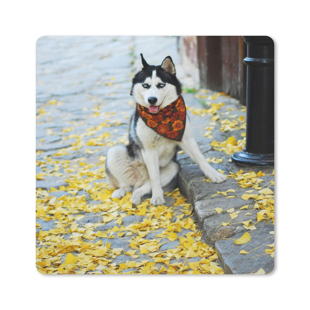 MuchoWow Mauspad Mousepad Hund - Herbst - Husky 20x20 cm - Mousepads - Maus Mat - Pad - Mausunterlage - Desk Mat - Bureauartikeln