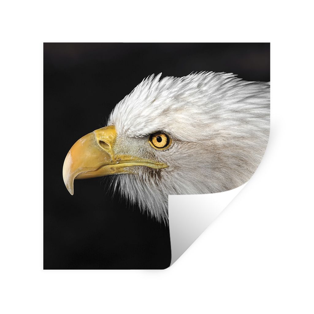 MuchoWow Wandtattoo Wandsticker Wandaufkleber Adler - Vogel - Schnabel - Augen 50x50 cm Selbstklebend und Repositionierbar - Selbstklebend - Foto...
