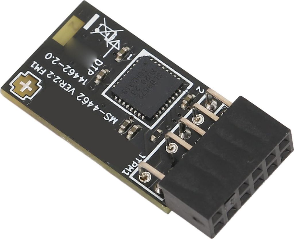 TPM2.0 Modul TPM SPI 12Pin Verschlüsselungs-Sicherheitsmodul mit SLB 9672 für MSI Motherboards für Windows 10 11