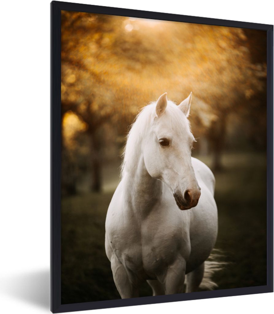 MuchoWow Gerahmtes Poster Pferd - Sonne - Herbst - Tiere - Natur 60x80 cm - Poster mit Schwarzem Bilderrahmen Wandposter Rahmen Foto Bilder - Pre...
