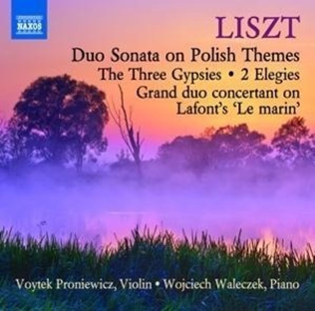 Proniewicz, V: Musik für Violine und Klavier