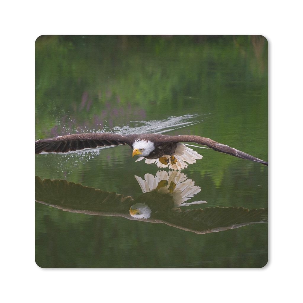 MuchoWow Mauspad Mousepad Ein Weißkopfseeadler fliegt sehr niedrig über dem Wasser 30x30 cm - Mousepads - Maus Mat - Pad - Mausunterlage - Gaming