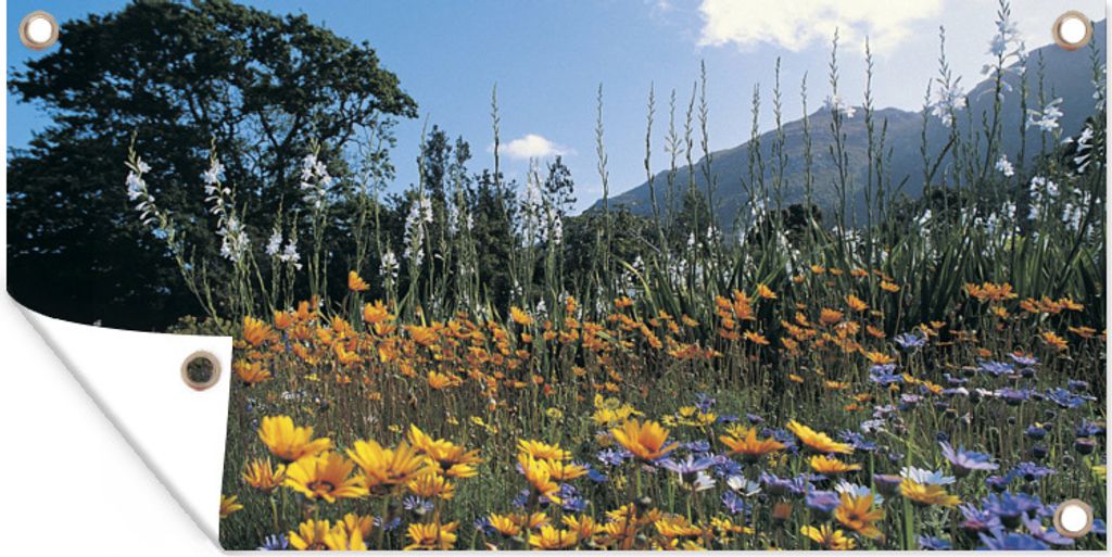 MuchoWow 60x30 cm Outdoor-Poster Gartendeko Sichtschutz Garten Poster für den Garten Blumen - Natur - Farbe