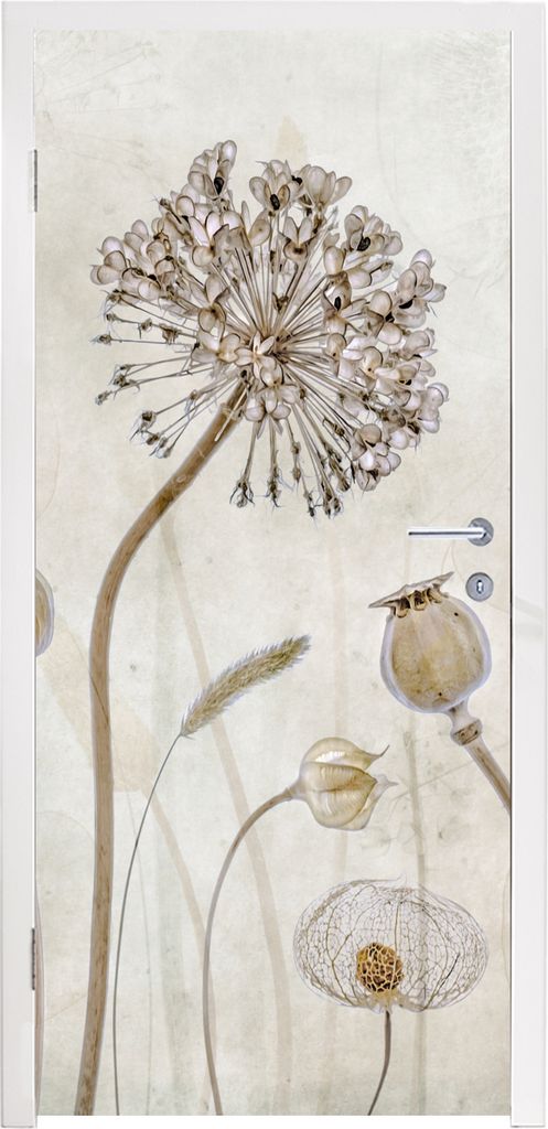 MuchoWow Türtapete Selbstklebende Türfolie Blumen - Aquarell - Stilleben - Braun - Vintage 80x205 cm Türposter Türaufkleber Klebefolie Türkl...