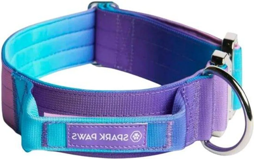 Collier robuste chien de grande taille cuir rétro 90s qualité premium
