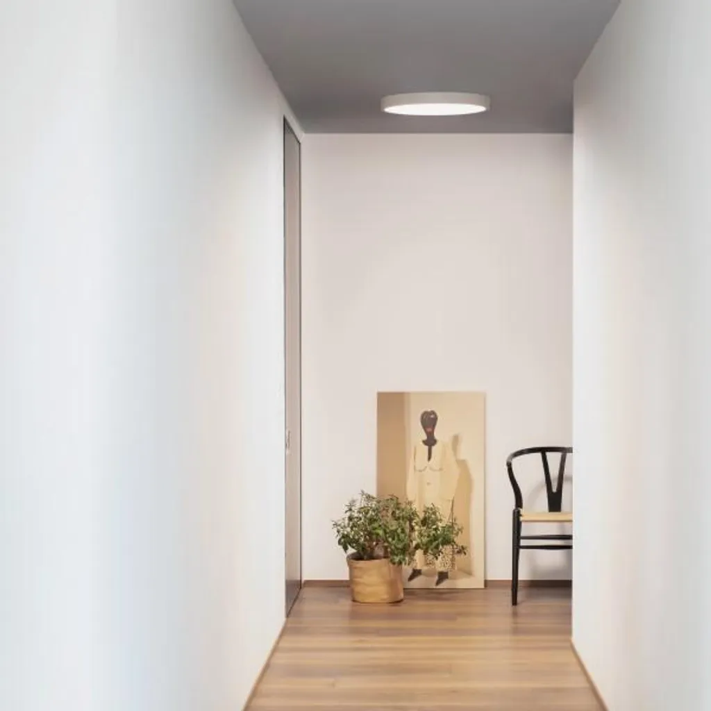 Luminaire de plafond LED moderne noir Ray pour éclairage intérieur IP44