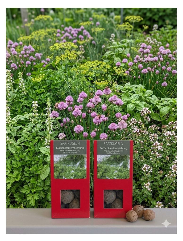 16 Stück Saatkugeln Kräutermischung Frische Küchenkräuter einfach selbst anbauen
