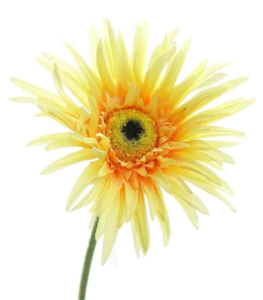 GASPER Gerbera Gelb & Orange 66 cm - Kunstblumen Produktbild 