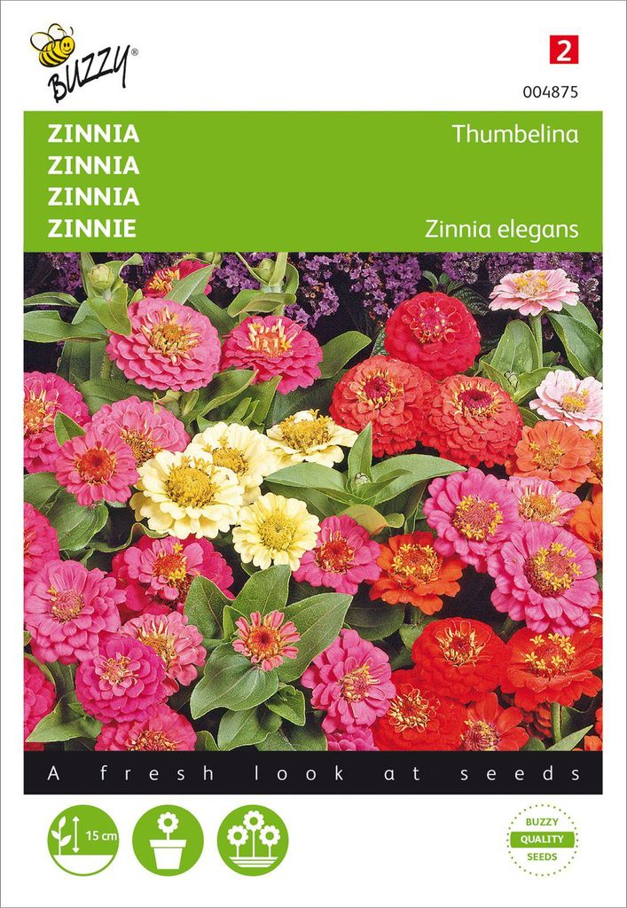 Zinnie Thumbelina Mischung | Zinniensamen von Buzzy Seeds