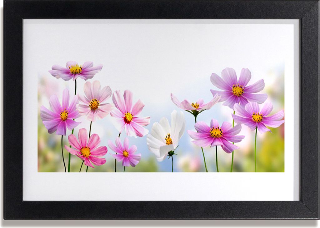 Bild 30x20 MDF-Rahmen Wandkunst Blumen Pflanzen Natur