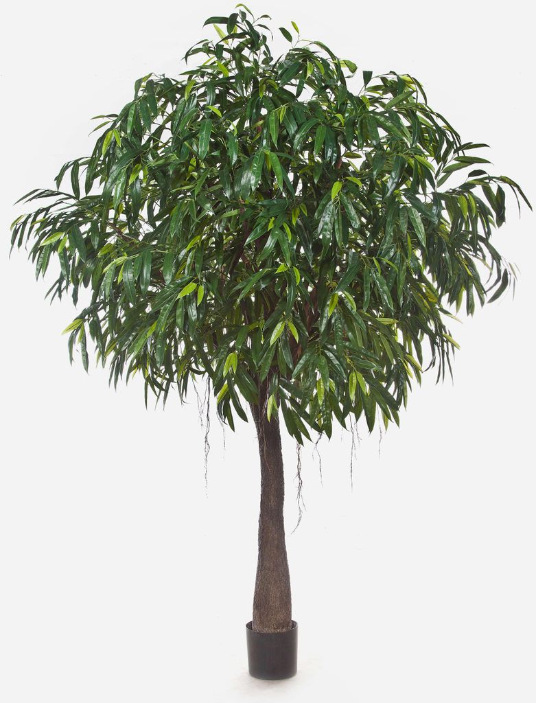artplants.de Künstlicher Longifolia-Baum, getopft, 3580 Blätter, Ø 210cm, 270cm - Kunst Baum - Longifolia Pflanze