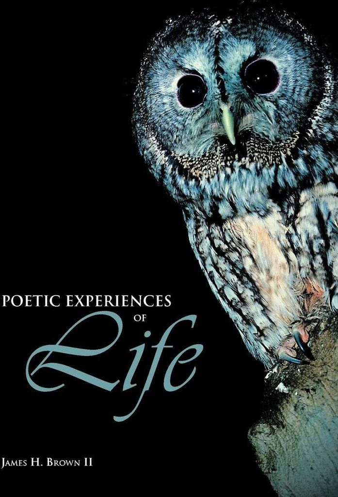 Poetic Experiences of Life
