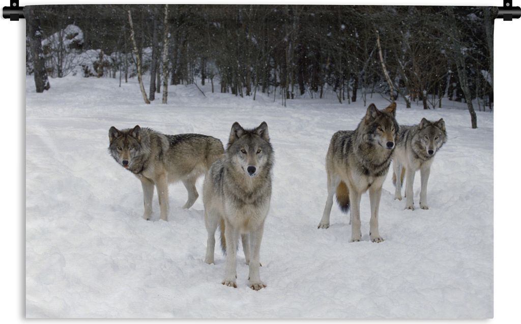 MuchoWow Wandteppich Wandbehang Wolf - Schnee - Kanada 90x60 cm Tapisserie Dekoration Wandtuch - Wandskulpturen - Bildteppich