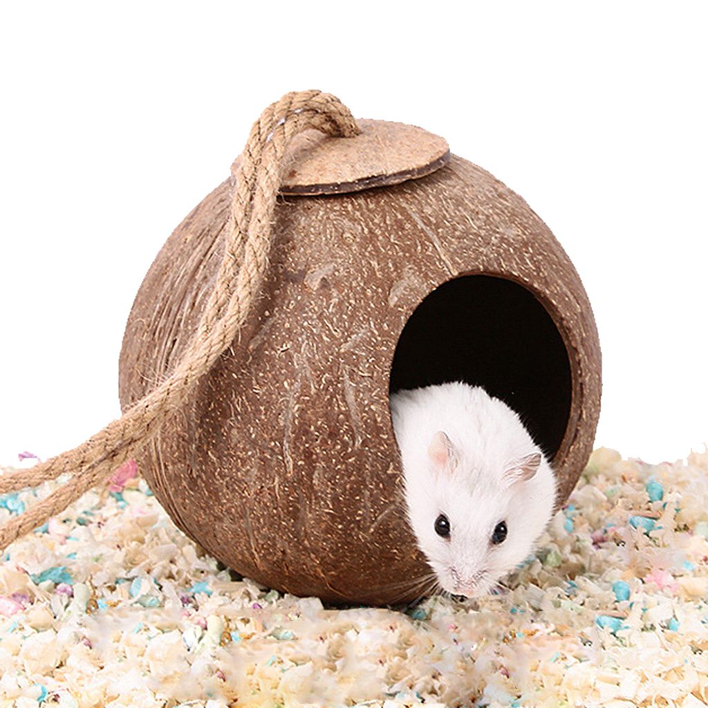 Versteckhaus Aus Kokosnussschalen Für Hamster, Einsiedlerkrebse, Reptilien, Igel, Meerschweinchen, Natürliche Lebensraumkäfigdekoration