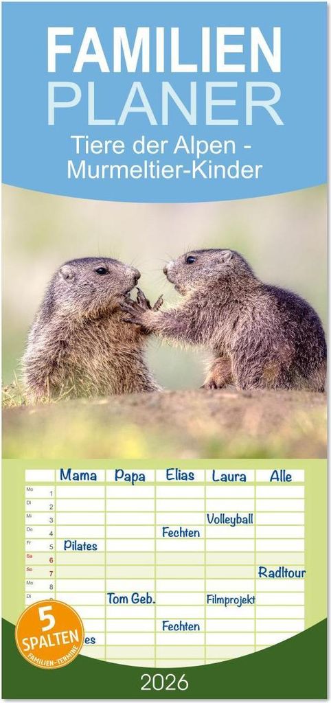 Familienplaner 2026 - Tiere der Alpen - Murmeltier-Kinder mit 5 Spalten (Wandkalender, 21 x 45 cm) CALVENDO