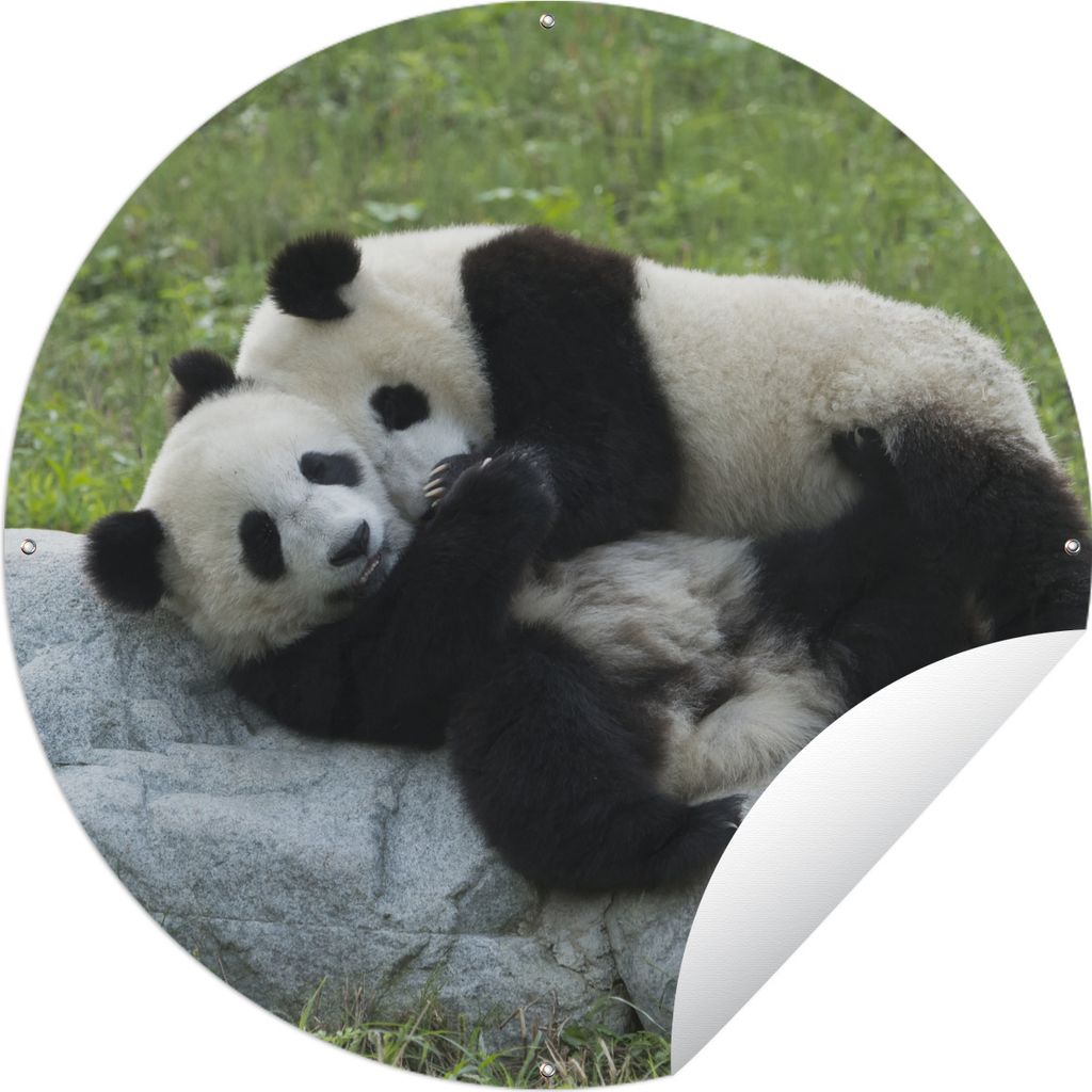 MuchoWow Gartenposter Outdoor-Poster Rund Pandas - Gras - Stein Ø 60 cm Gartendeko Rundes Poster draußen